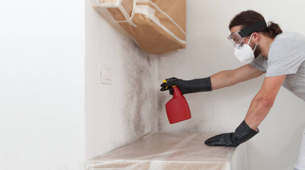 Professional Mold Removal technician working in Victoria, MN